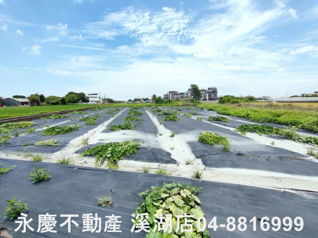 埔鹽農地-9
