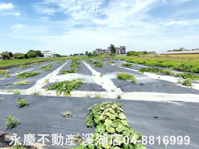 埔鹽農地-0