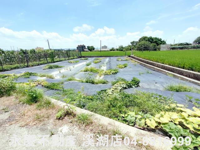 埔鹽農地-1