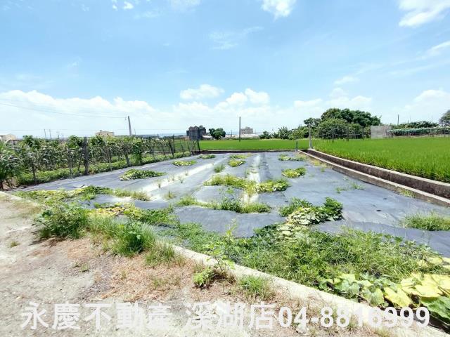 埔鹽農地-2