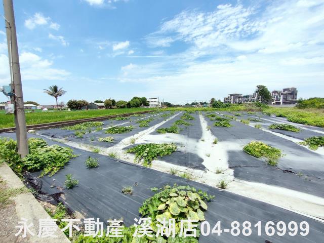 埔鹽農地-3