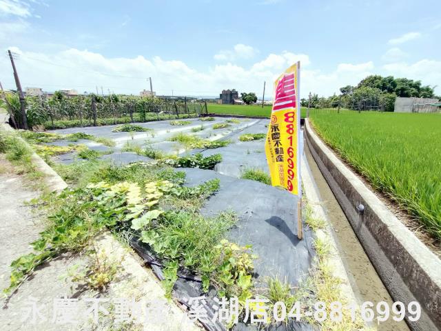 埔鹽農地-5