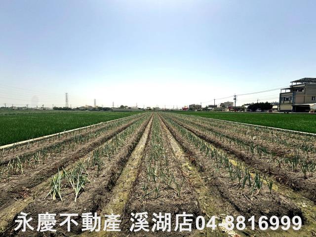 溪湖農地-9