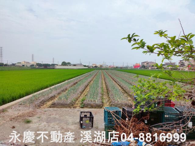 溪湖農地-5