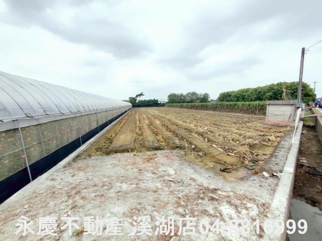 田尾農地-0