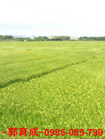 彰化農地-0