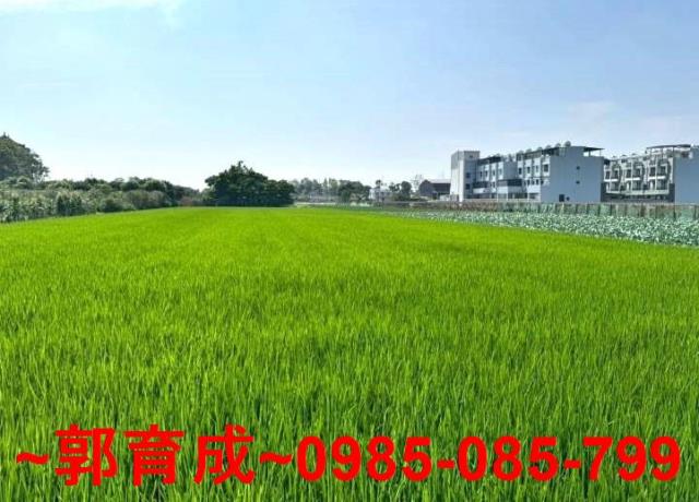 彰化農地-0