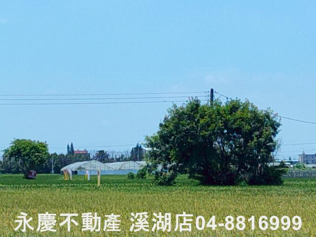 埔鹽農地-6