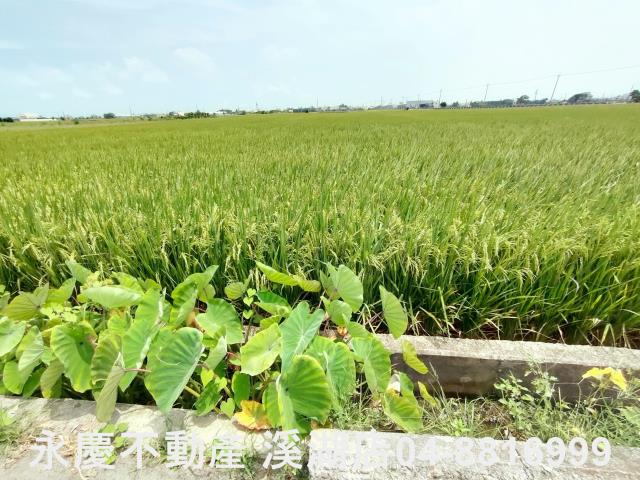 彰化埔鹽農地-12