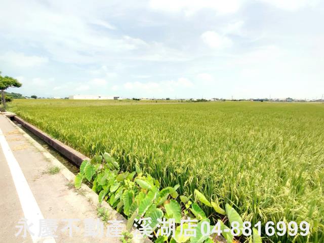 彰化埔鹽農地-8