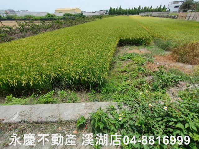 彰化埔心農地-1