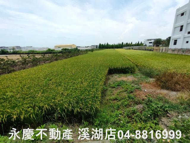 彰化埔心農地-2