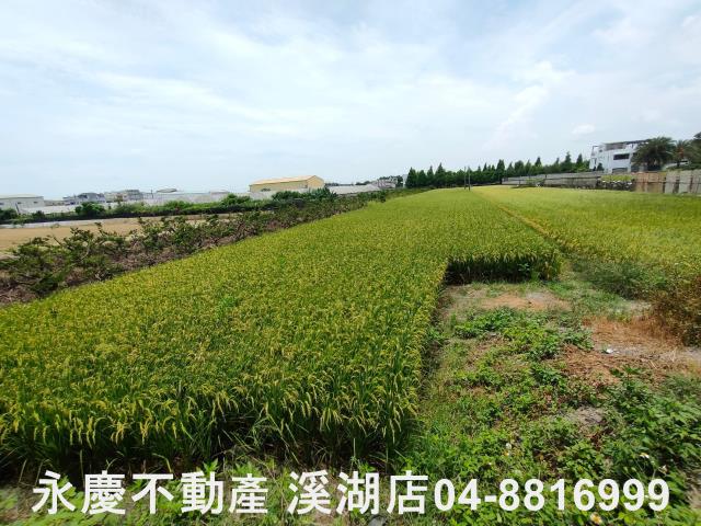彰化埔心農地-3