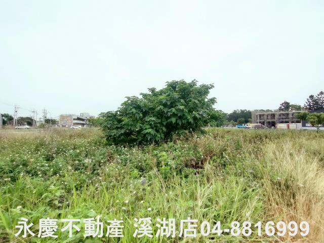 埤頭建地-0