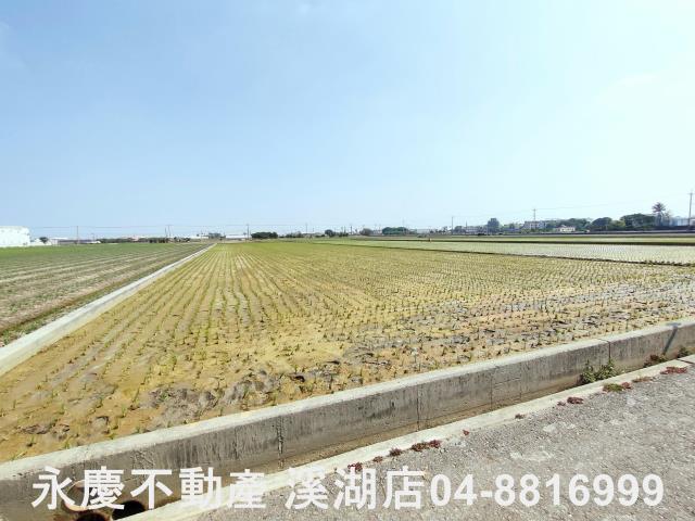 彰化埔鹽農地-9