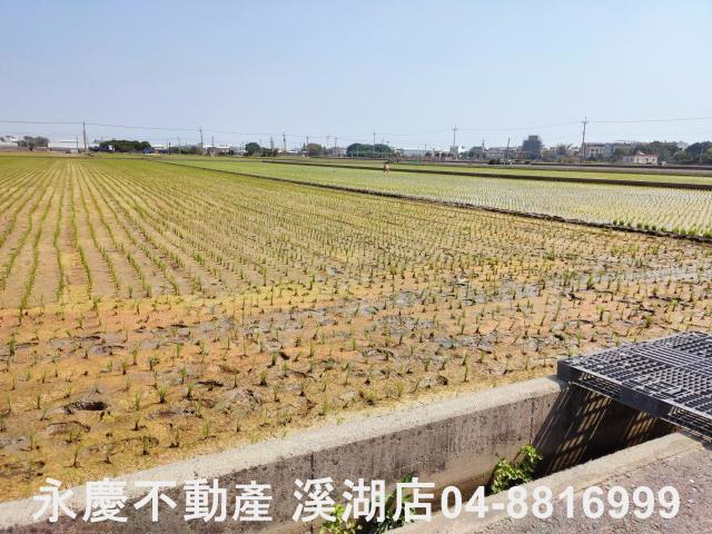 彰化埔鹽農地-11
