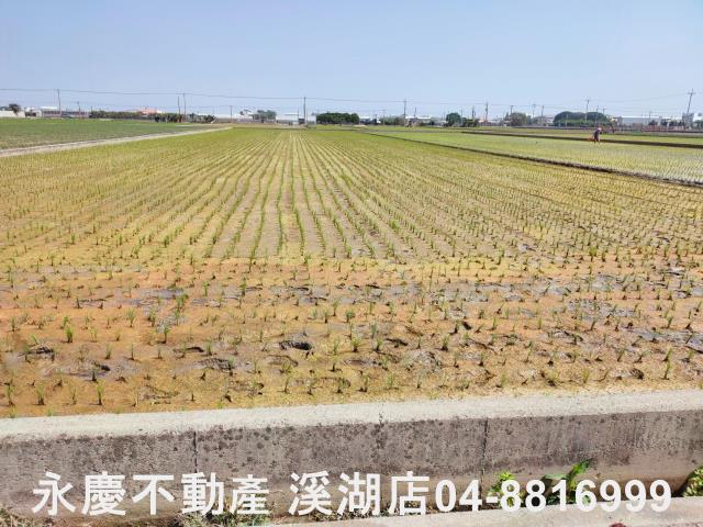 彰化埔鹽農地-12