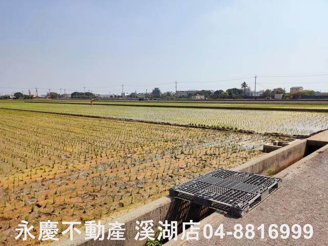 彰化埔鹽農地-13