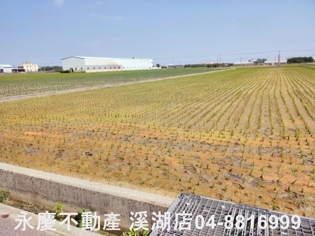 彰化埔鹽農地-5