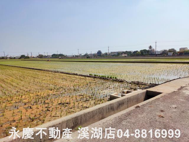 彰化埔鹽農地-6