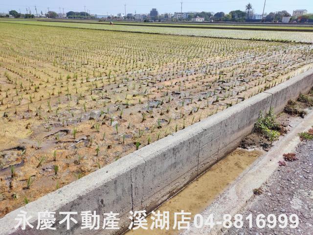 彰化埔鹽農地-8