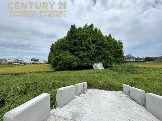 彰化員林農地-1