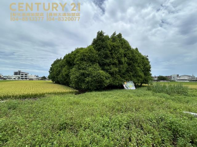 彰化員林農地-2