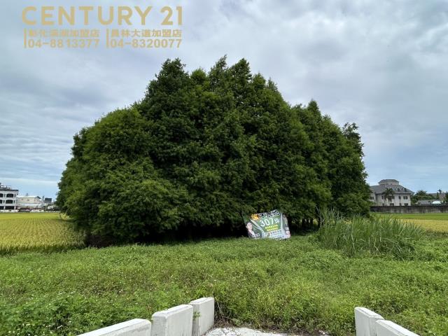 彰化員林農地-3