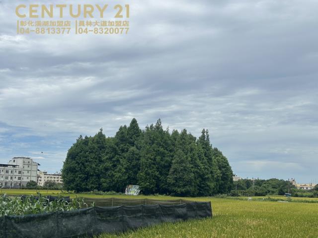 員林農地-0