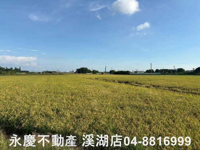 彰化農地-4