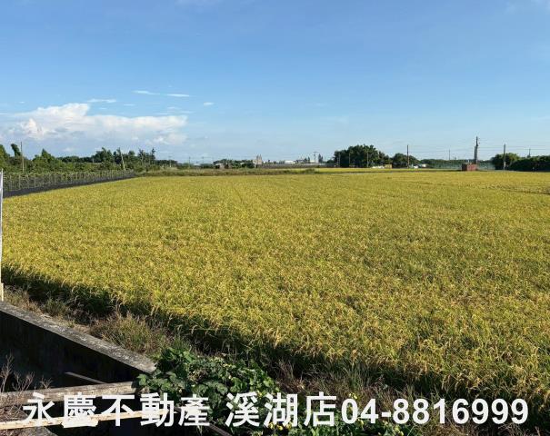 彰化農地-5