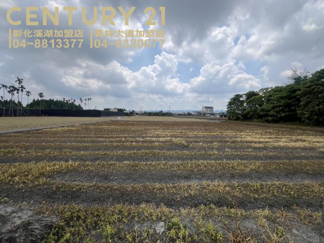 彰化埔心農地-1