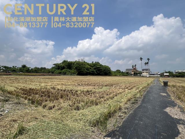 彰化埔心農地-4