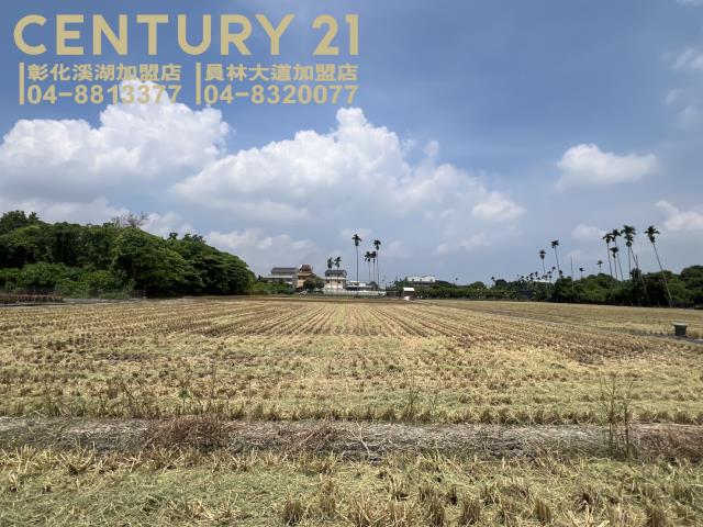 彰化埔心農地-5