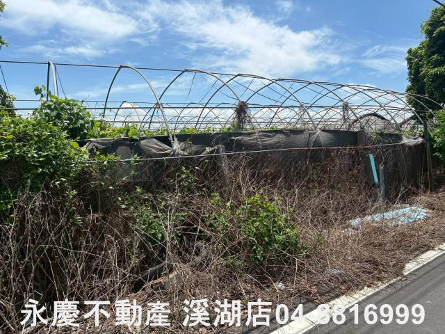 彰化溪湖農地-5