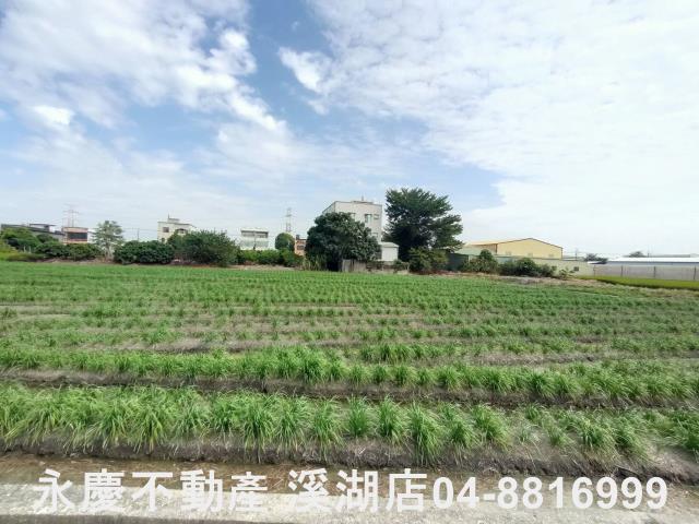 彰化農地-5