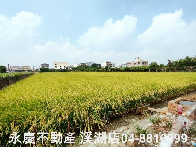溪湖農地-1