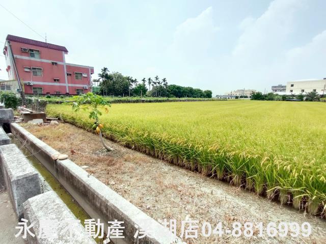 溪湖農地-6