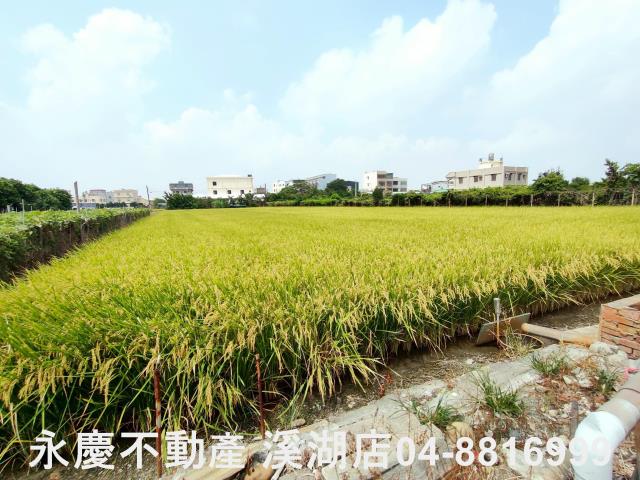 溪湖農地-4