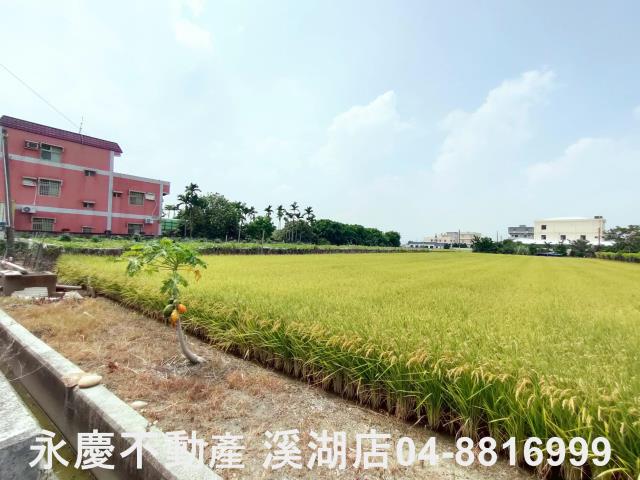 溪湖農地-5