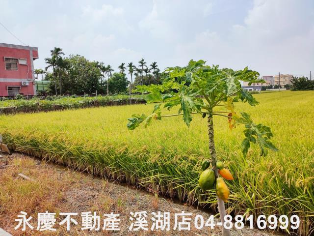 溪湖農地-7