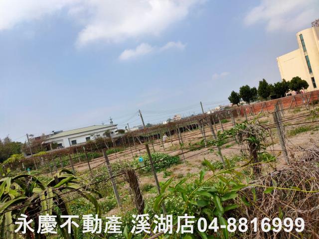 彰化農地-8