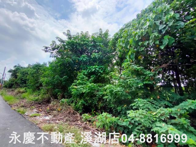 彰化二林農地-0