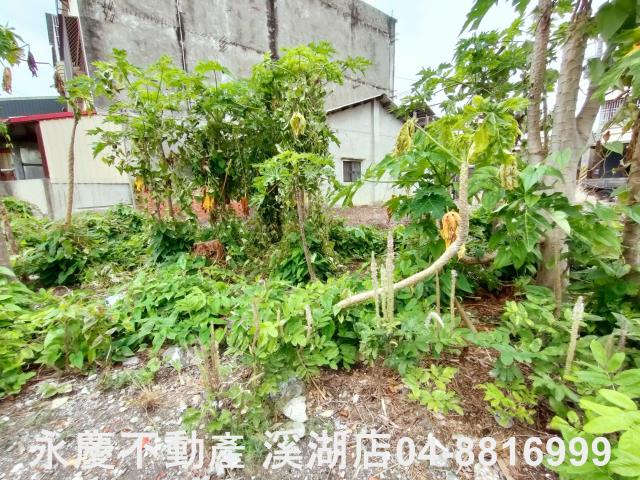 田尾建地-4