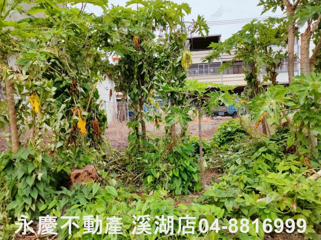 田尾建地-6