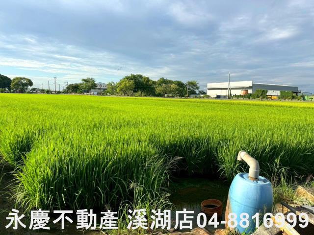 埔鹽農地-1