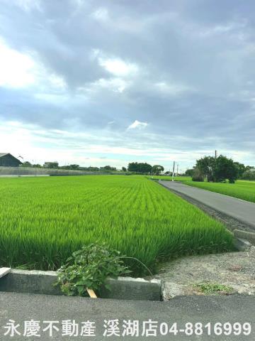 埔鹽農地-3