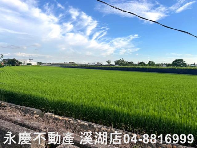 埔鹽農地-6
