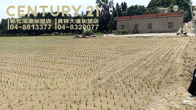 彰化埔鹽農地-0
