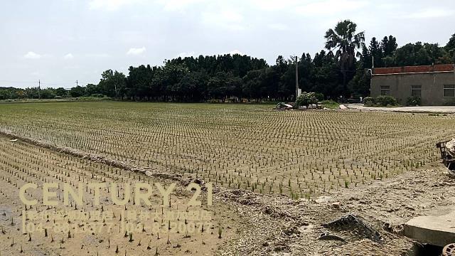 彰化埔鹽農地-1